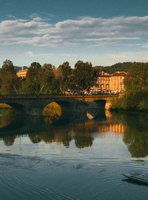 turin2